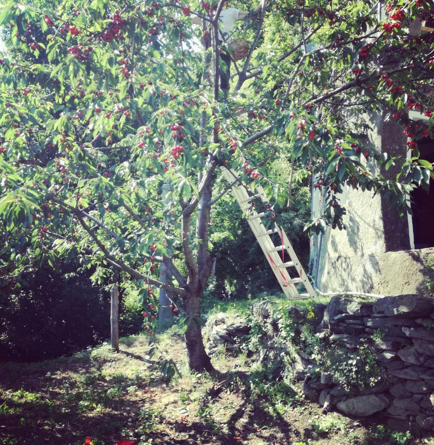 Berzuaia Bed & Breakfast Varazze Εξωτερικό φωτογραφία