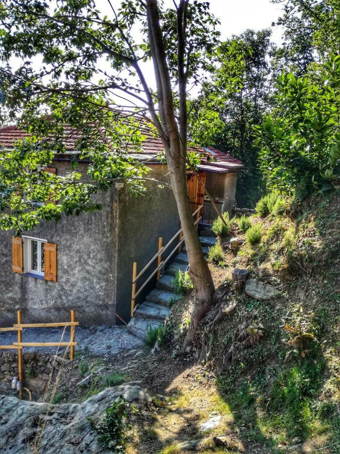 Berzuaia Bed & Breakfast Varazze Εξωτερικό φωτογραφία