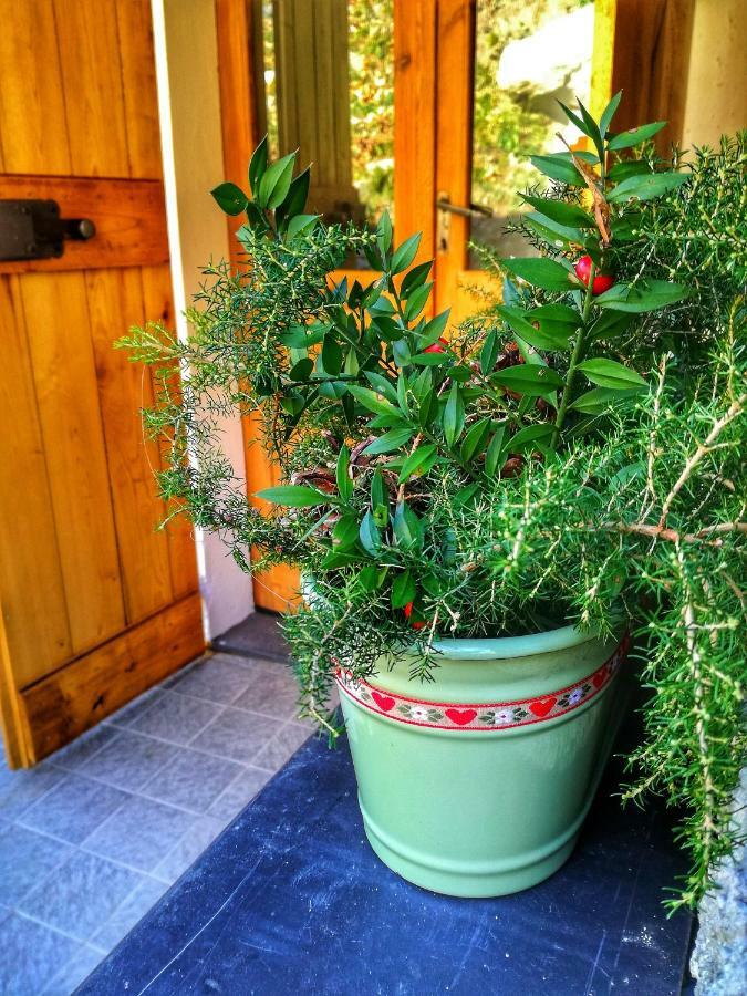 Berzuaia Bed & Breakfast Varazze Εξωτερικό φωτογραφία