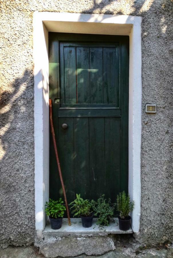Berzuaia Bed & Breakfast Varazze Εξωτερικό φωτογραφία