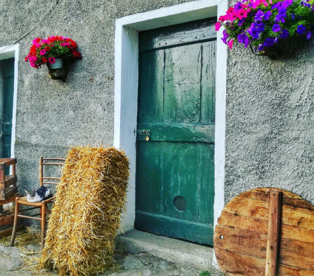 Berzuaia Bed & Breakfast Varazze Εξωτερικό φωτογραφία