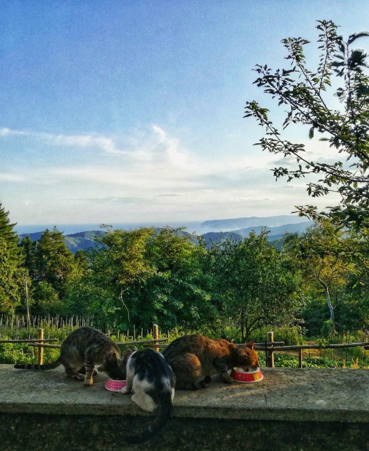 Berzuaia Bed & Breakfast Varazze Εξωτερικό φωτογραφία